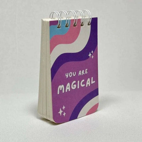 Mini Diaries
