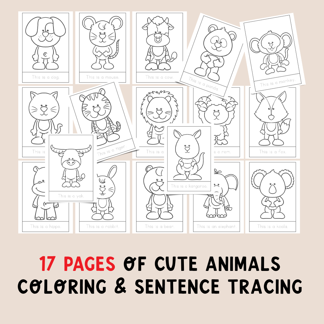 Alphaber (Coloring & Tracing book)