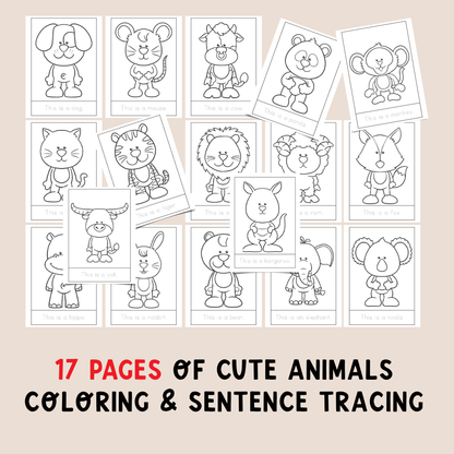 Alphaber (Coloring & Tracing book)