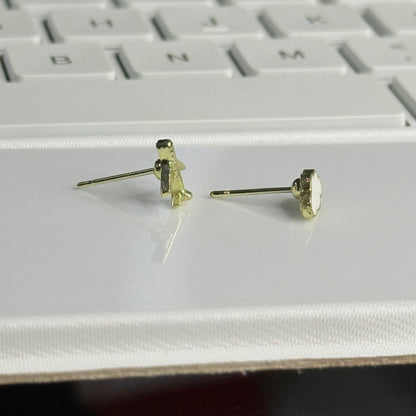 Cloud and Plane ear studs