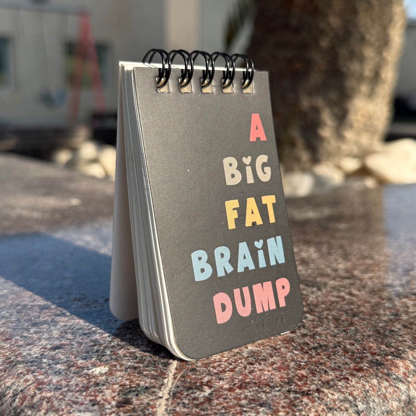 Brain Dump Mini Diary