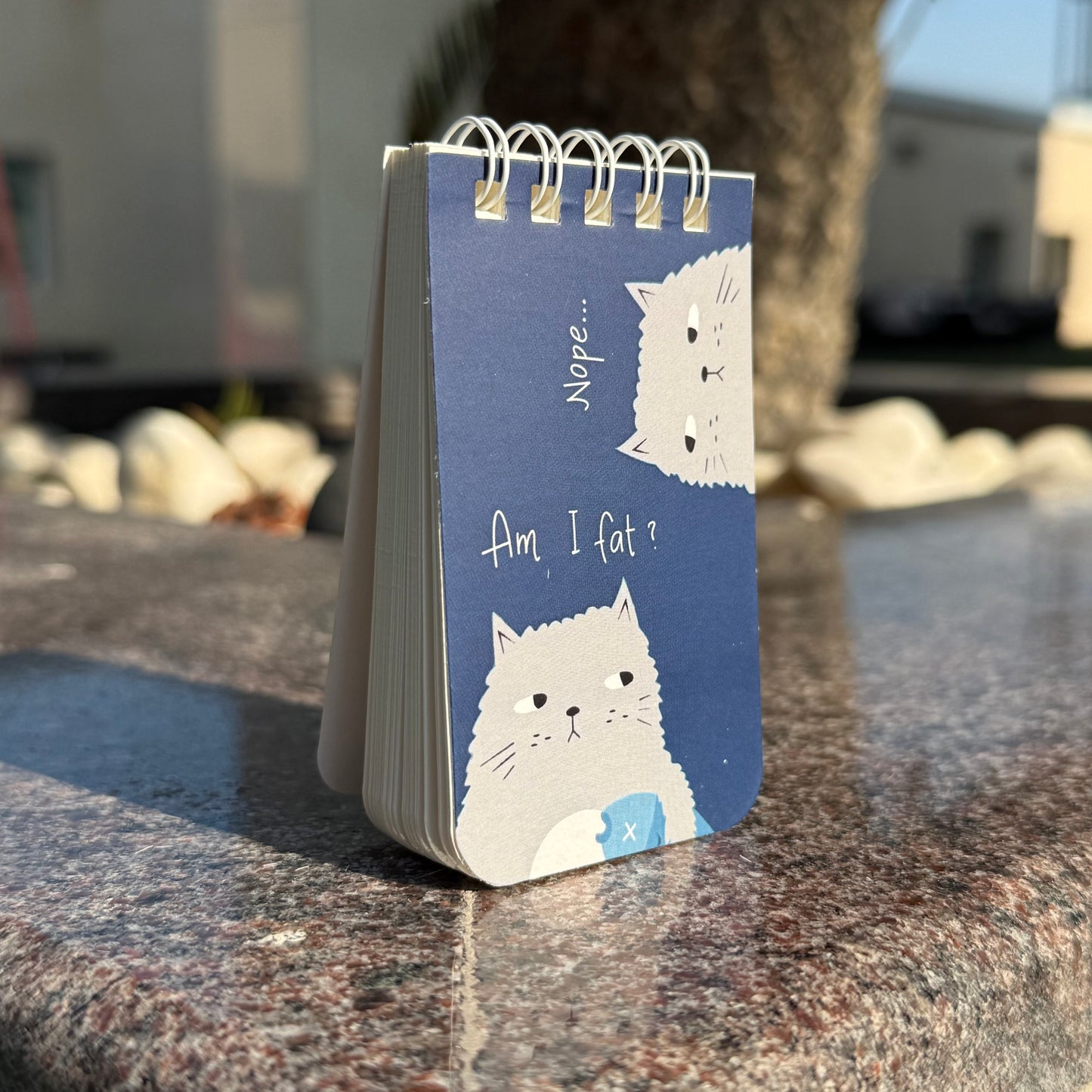 Am I fat? Mini Diary