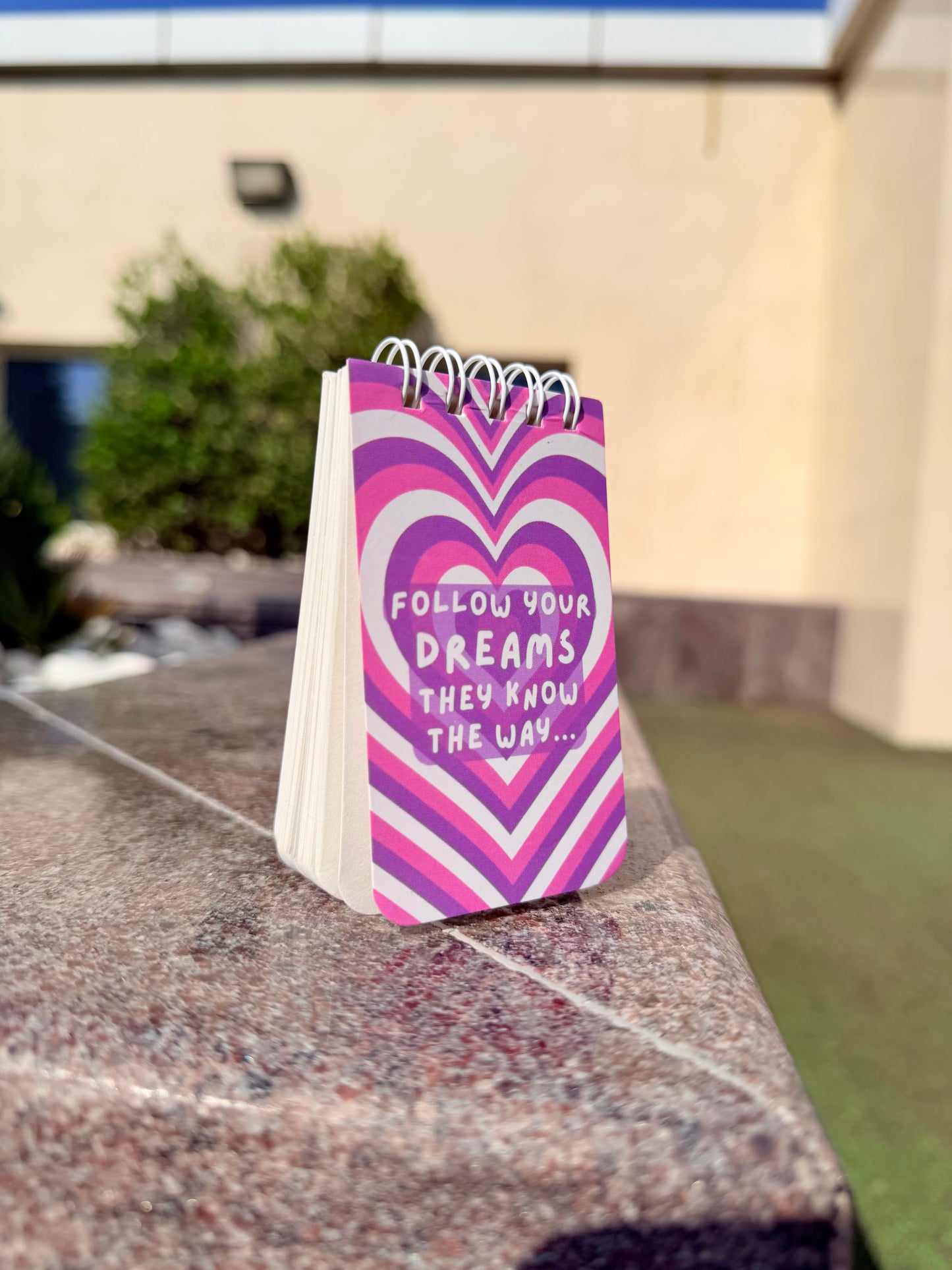 Follow your Dreams Mini Diary