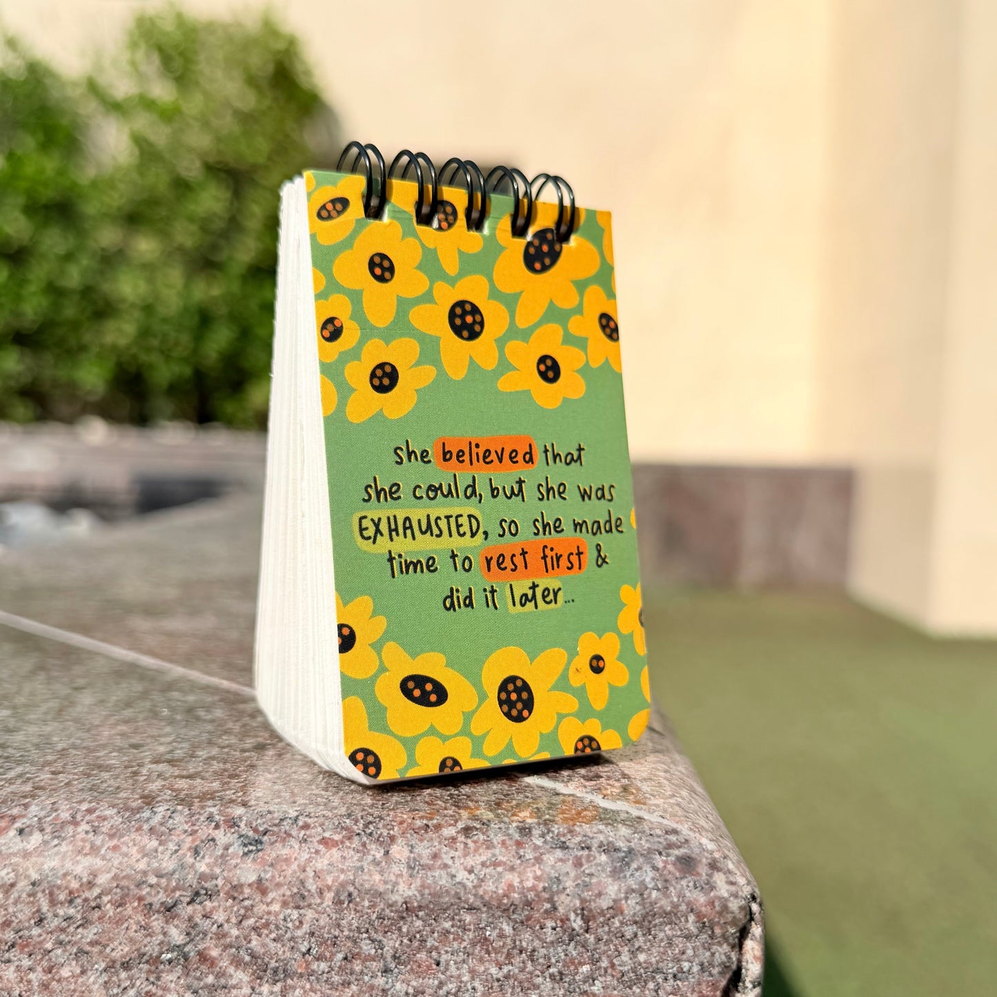 She Believed Mini diary